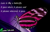 Love Is Like A Butterfly Quote